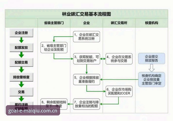 3种高效方法：买球使用教程怎么下载及安装全流程指南